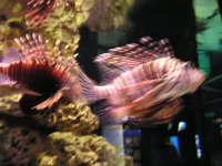 Click to see big picture (2048x1536 pixels; 662 KB)