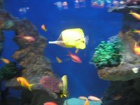 Click to see big picture (2048x1536 pixels; 738 KB)