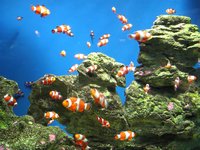 Click to see big picture (2048x1536 pixels; 697 KB)