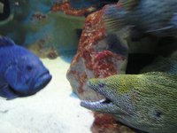 Click to see big picture (2048x1536 pixels; 679 KB)