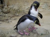 Click to see big picture (2048x1536 pixels; 648 KB)