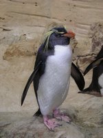 Click to see big picture (1536x2048 pixels; 657 KB)