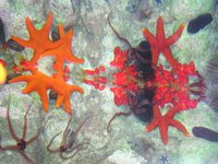 Click to see big picture (2048x1536 pixels; 690 KB)