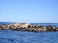 Click to see big picture (2048x1536 pixels; 600 KB)