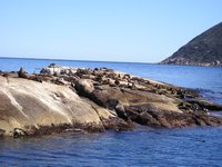 Click to see big picture (2048x1536 pixels; 618 KB)