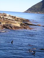 Click to see big picture (1536x2048 pixels; 636 KB)