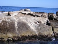 Click to see big picture (2048x1536 pixels; 661 KB)