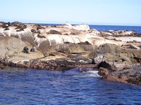 Click to see big picture (2048x1536 pixels; 645 KB)