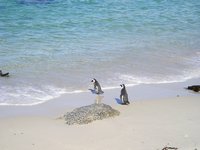 Click to see big picture (2048x1536 pixels; 610 KB)