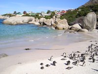 Click to see big picture (2048x1536 pixels; 607 KB)