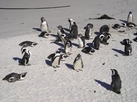 Click to see big picture (2048x1536 pixels; 616 KB)