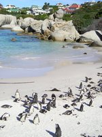 Click to see big picture (1536x2048 pixels; 603 KB)