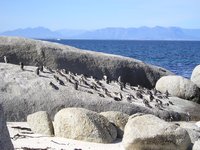 Click to see big picture (2048x1536 pixels; 651 KB)