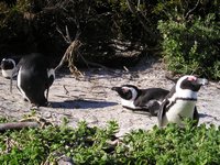 Click to see big picture (2048x1536 pixels; 674 KB)