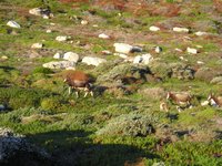 Click to see big picture (2048x1536 pixels; 693 KB)