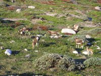 Click to see big picture (2048x1536 pixels; 686 KB)