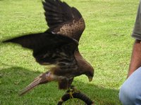 Click to see big picture (2048x1536 pixels; 646 KB)