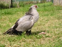 Click to see big picture (2048x1536 pixels; 714 KB)