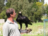 Click to see big picture (2048x1536 pixels; 669 KB)