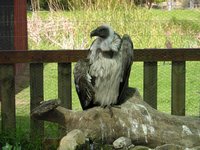 Click to see big picture (2048x1536 pixels; 689 KB)