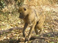 Click to see big picture (2048x1536 pixels; 706 KB)