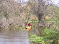 Click to see big picture (2048x1536 pixels; 713 KB)