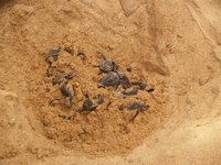 Klikni pro zv�t�en� na obrazovku