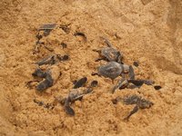 Klikni pro zv�t�en� na obrazovku