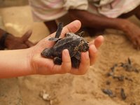 Klikni pro zv�t�en� na obrazovku