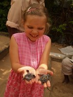 Klikni pro zv�t�en� na obrazovku