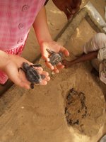 Klikni pro zv�t�en� na obrazovku