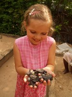 Klikni pro zv�t�en� na obrazovku