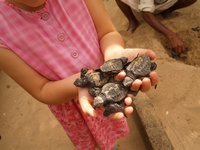 Klikni pro zv�t�en� na obrazovku