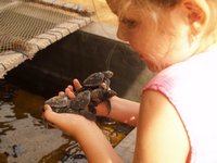 Klikni pro zv�t�en� na obrazovku