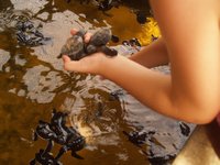 Klikni pro zv�t�en� na obrazovku