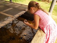 Klikni pro zv�t�en� na obrazovku