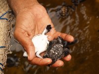 Klikni pro zv�t�en� na obrazovku