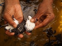 Klikni pro zv�t�en� na obrazovku