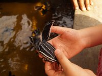 Klikni pro zv�t�en� na obrazovku