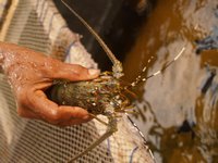 Klikni pro zv�t�en� na obrazovku