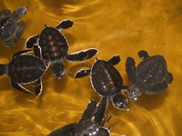 Klikni pro zv�t�en� na obrazovku