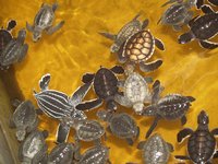 Klikni pro zv�t�en� na obrazovku