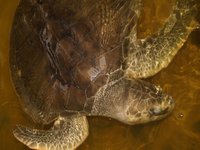 Klikni pro zv�t�en� na obrazovku