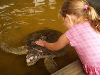 Klikni pro zv�t�en� na obrazovku