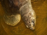 Klikni pro zv�t�en� na obrazovku