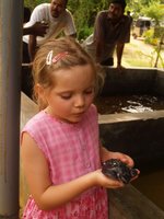 Klikni pro zv�t�en� na obrazovku