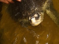 Klikni pro zv�t�en� na obrazovku