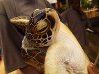 Klikni pro zv�t�en� na obrazovku