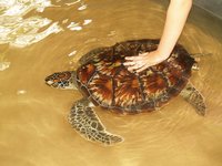 Klikni pro zv�t�en� na obrazovku