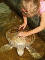 Klikni pro zv�t�en� na obrazovku